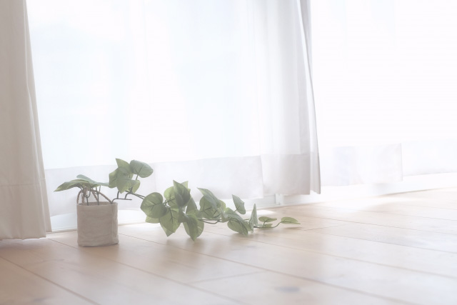 自然光が入るやさしい室内のイメージ